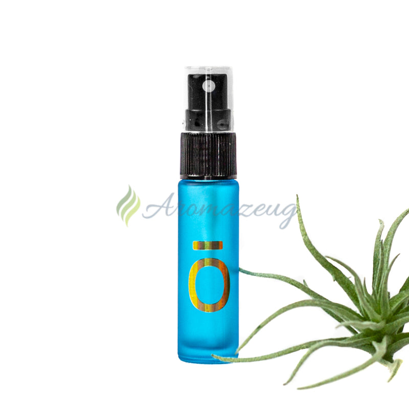 Laden Sie das Bild in Galerie -Viewer, 10ml Deluxe Farbige Roll-On-Flasche in Matt mit Spray-Aufsatz &amp; Logo Hellblau Spray Flaschen
