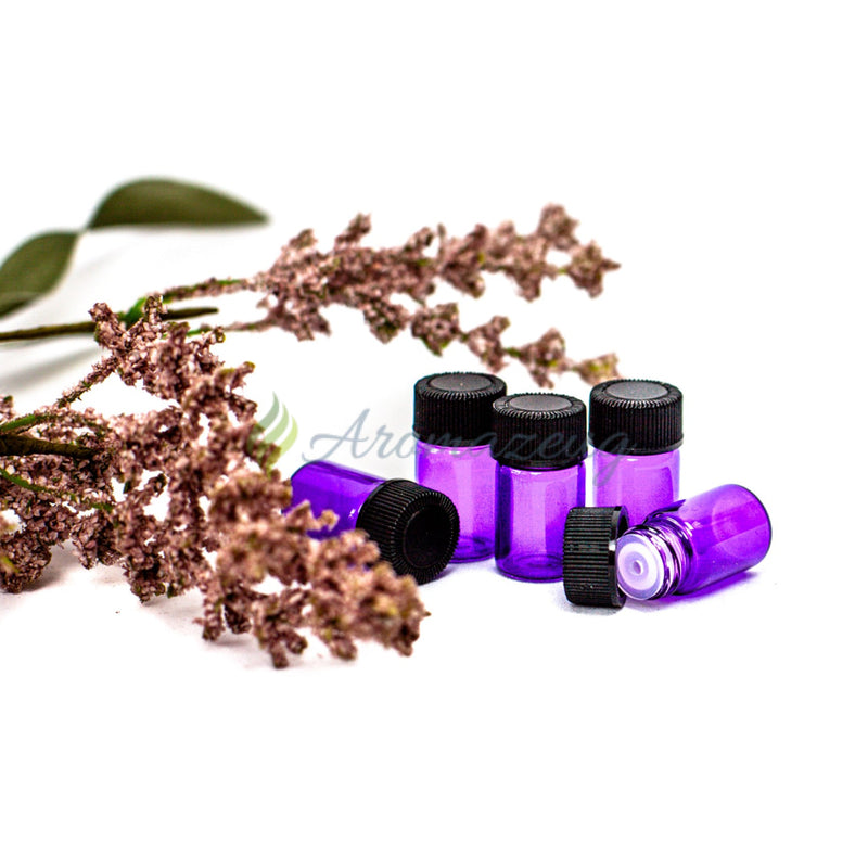 Laden Sie das Bild in Galerie -Viewer, 2 Ml Probeflaschen - Paket Von 24 Oder 144 Glassflaschen
