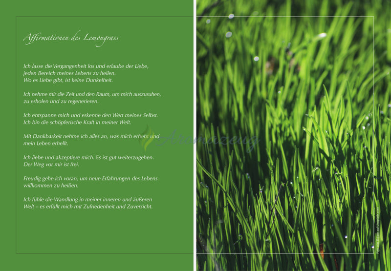 Laden Sie das Bild in Galerie -Viewer, Bald erhältlich: Berührung der Düfte - Ätherische Öle und Emotionen in heilsamer Verbindung Bücher
