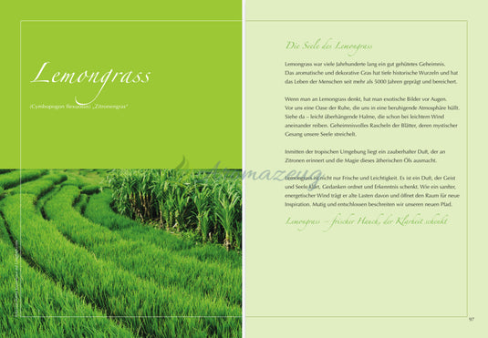 Bald erhältlich: Berührung der Düfte - Ätherische Öle und Emotionen in heilsamer Verbindung Bücher