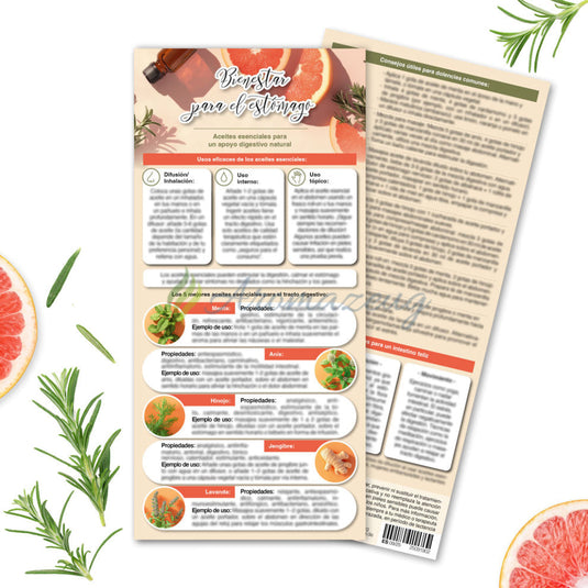 Bienestar para el estómago - Informationskarte (Wohlbefinden für den Bauch) Spanisch (Paket von 25) Karten