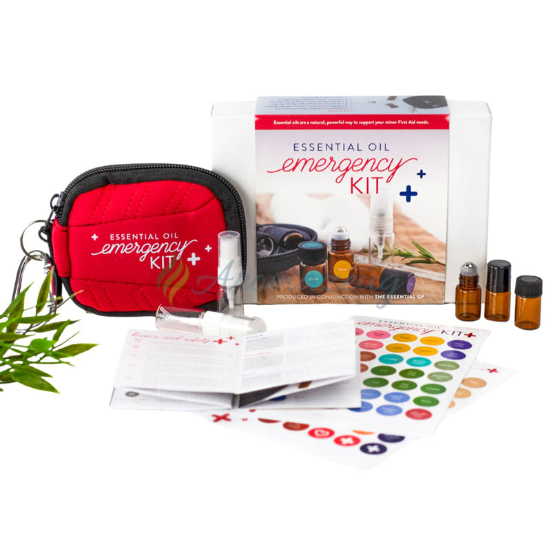 Laden Sie das Bild in Galerie -Viewer, Emergency Kit (Aufbewahrungstasche Flaschen Erste-Hilfe Broschüre &amp; Aufkleber) Zubehör
