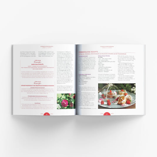 Erdenfrau - Heilpflanzen, Rituale und Rezepte im Wandel der Jahreszeiten