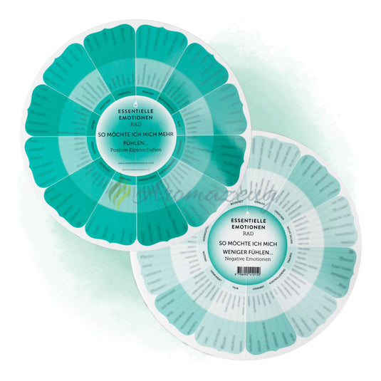 NEU! Essentielle Emotionen Rad 2025 (13. Edition) Karten