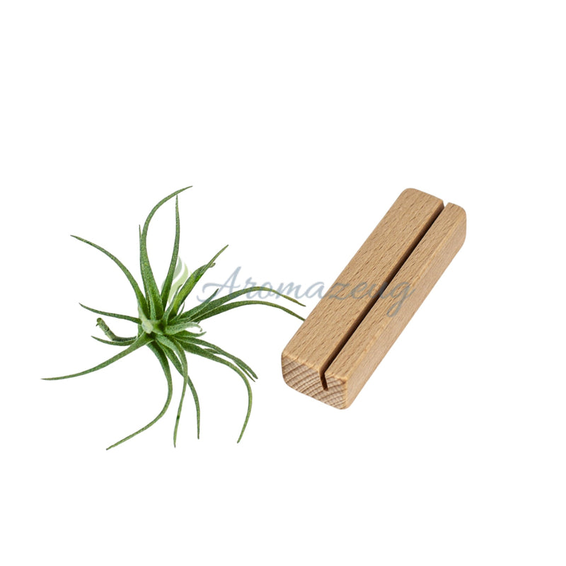 Laden Sie das Bild in Galerie -Viewer, Halter Für Affirmationskarten Aus Buchenholz Präsentationsständer
