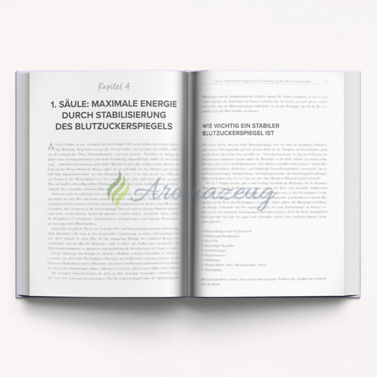 NEU!!! Perimenopause-Power von Dr. Mariza Snyder - Bücher