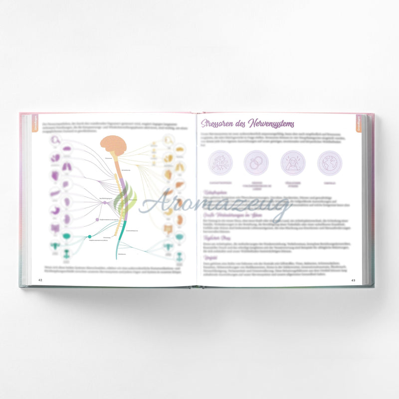 Laden Sie das Bild in Galerie -Viewer, Oil Magic Emotionen - 1. Ausgabe (Deutsch 2024) Bücher
