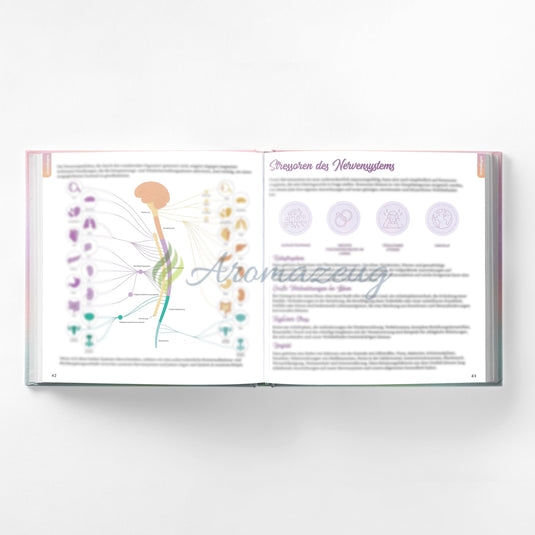 Oil Magic Emotionen - 1. Ausgabe (Deutsch 2024) Bücher