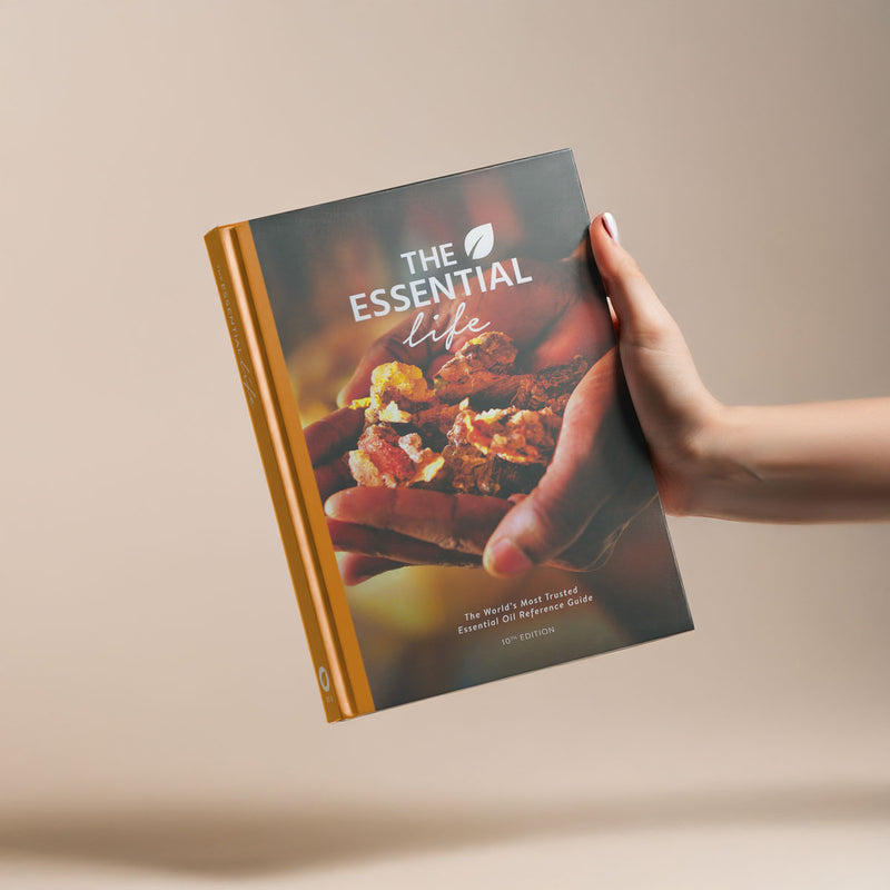 Laden Sie das Bild in Galerie -Viewer, The Essential Life (10. Auflage, Englisch)
