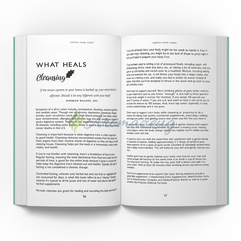 Laden Sie das Bild in Galerie -Viewer, Wellness Made Simple: How to Keep Cancer and Other Diseases at Bay (Englisch) Bücher
